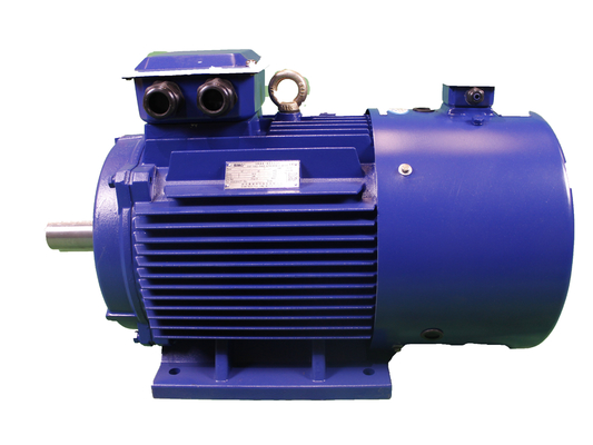 2P To 12P Variable Frequency Drive Motor High Efficiency