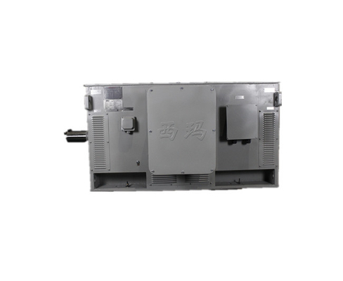 500kW 6kV Asynchronous Electric Motor Y4002-2 HV Induction Motor